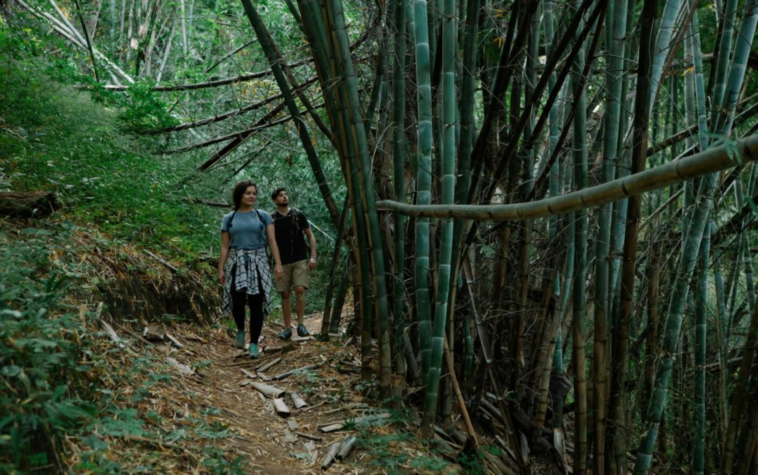 Person arbeitet entspannt am Computer während Familie im Hintergrund spielt